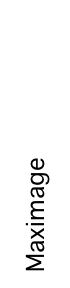 Maximage